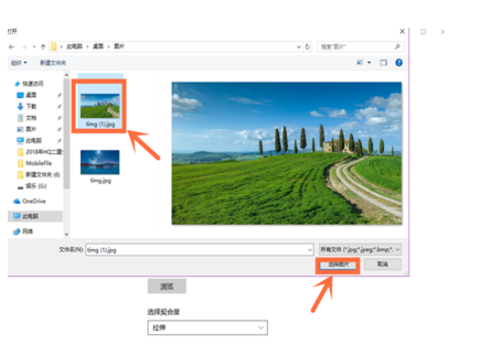 1642231169131556.png 封面