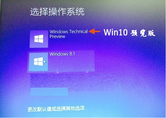 Win10双系统安装图文教程 Win8和Win10双系统安装教程 如何装Win10双系统 系统之家