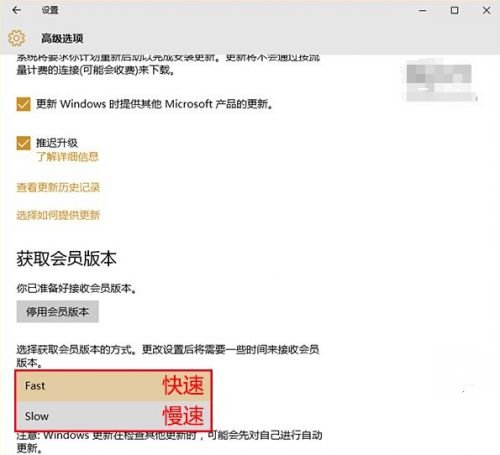 1483172315758090.jpg 封面