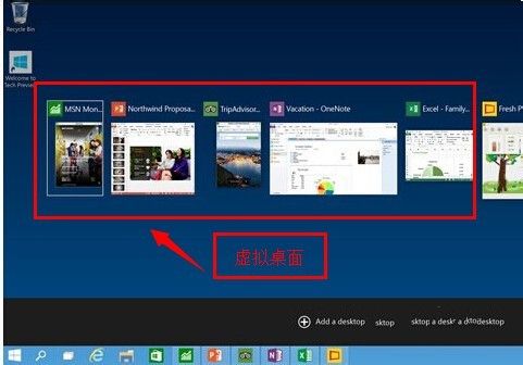 1494230568196698.jpg 封面