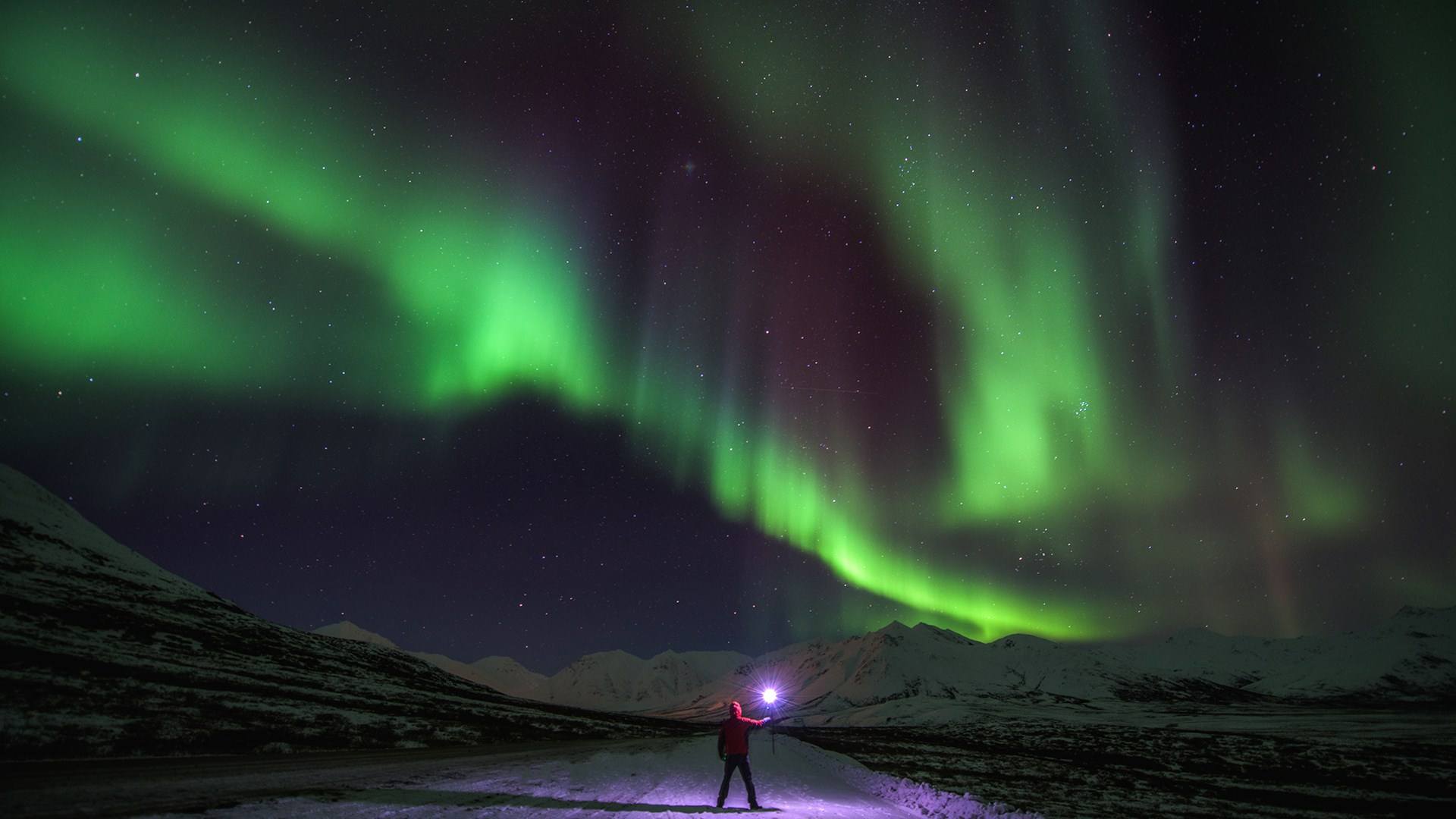 1493951270898503.jpg 封面