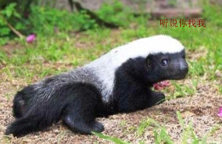 电脑电源线 封面