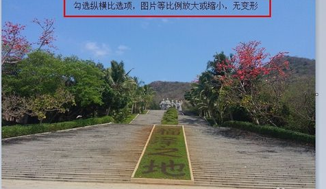 修改图片大小 封面